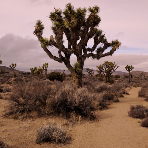 Meet your Posher, Courtney - Picture 1 of 1